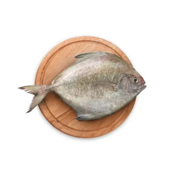 Ikan Bawal Hitam Bersih