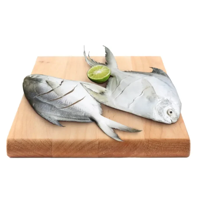 Ikan Bawal Putih Bersih