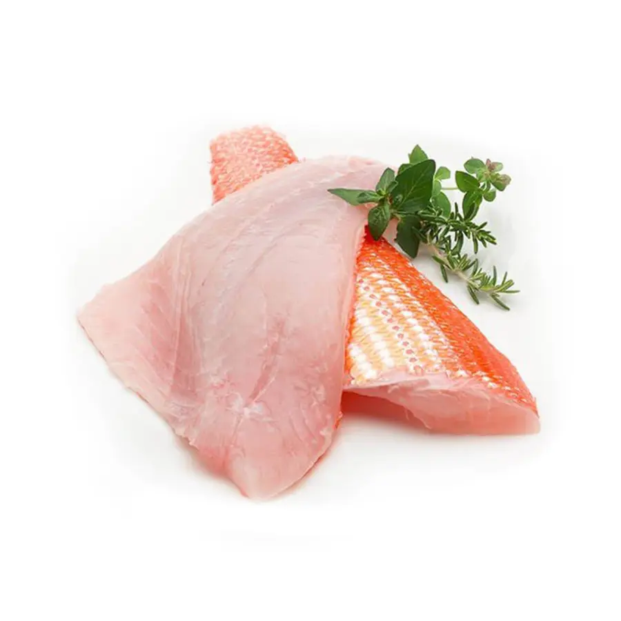 Ikan Kakap Merah 1 Ikan Kakap Merah