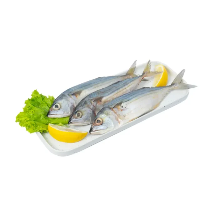 Ikan Kembung Banjar
