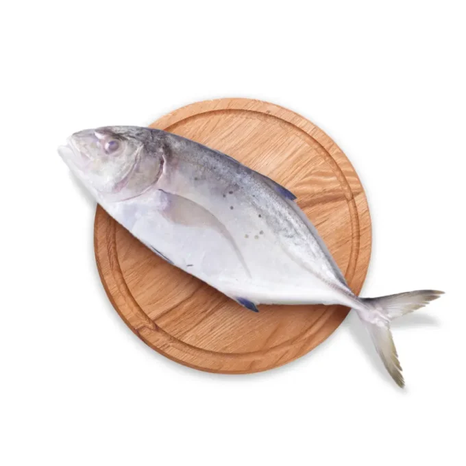 Ikan Kuwe Bersih