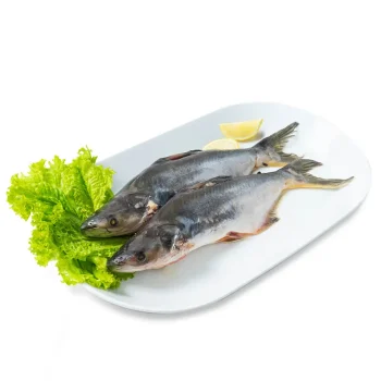 Ikan Patin Utuh Bersih