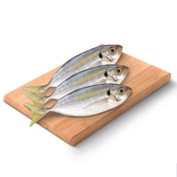 Ikan Selar