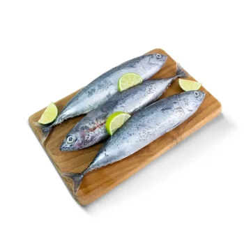 Ikan Tongkol Utuh