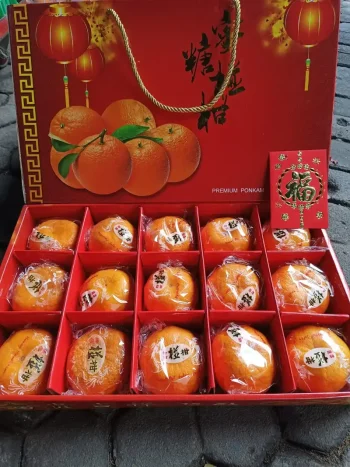 JERUK PONKAM TAS ISI 15