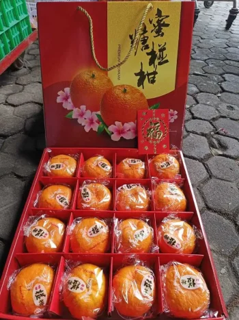 JERUK PONKAM TAS MERAH ISI 16