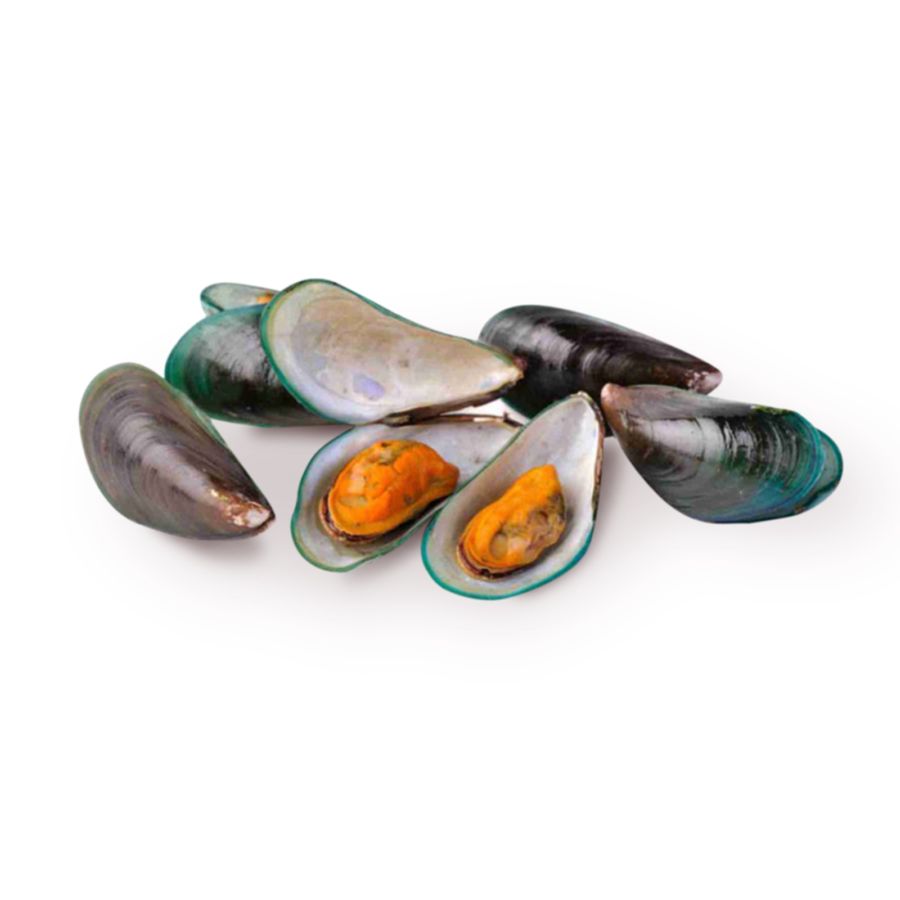 Kerang Hijau Utuh Besar 1 Kerang Hijau Utuh Besar