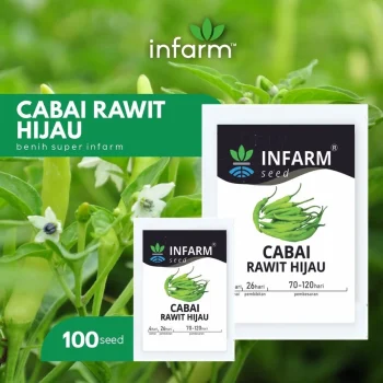 Bibit Cabai Hijau Benih Bibit Biji Super Cabai Cabe Rawit Hijau - INFARM