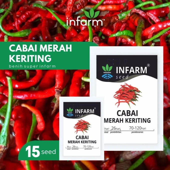 Bibit Cabai Benih Bibit Biji Super Cabai Keriting / Cabe Keriting - INFARM