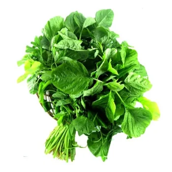 Bayam Hijau Segar 1 Ikat