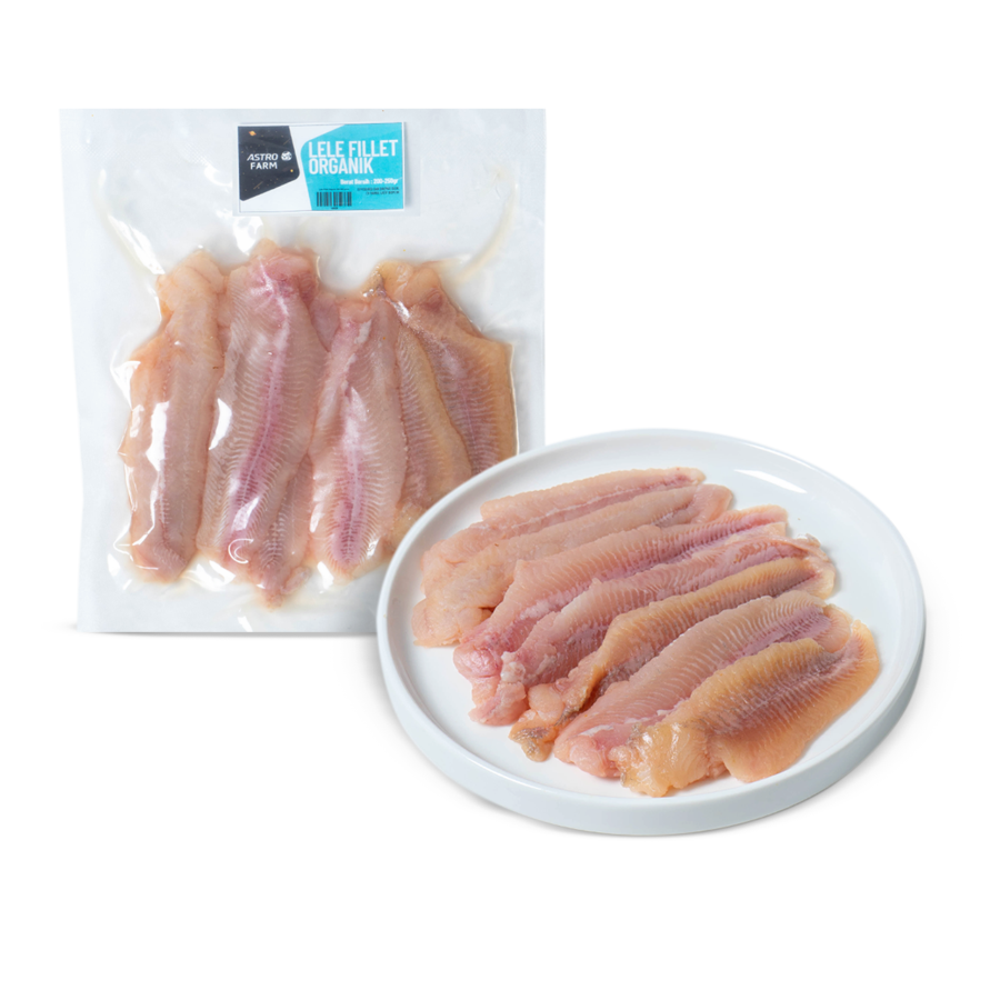 Lele Fillet Organik 1 Lele Fillet Organik