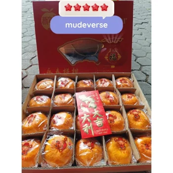 JERUK PONKAM ISI 40 ORI YUJI