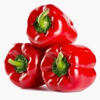 Paprika Merah Segar | Fresh Red Bell Pepper 5 kg