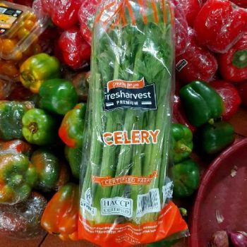 TERMURAH Celery Stick per Bks / Celery Stick