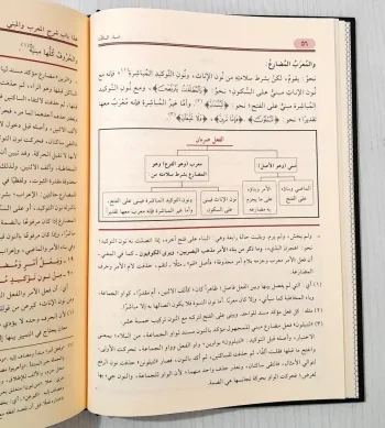 Dhiyaus Saalik Ila Audhail Masaalik