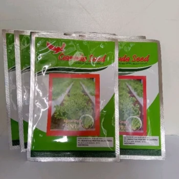 Benih / Bibit Selada Unggul SINTA 10 Gram