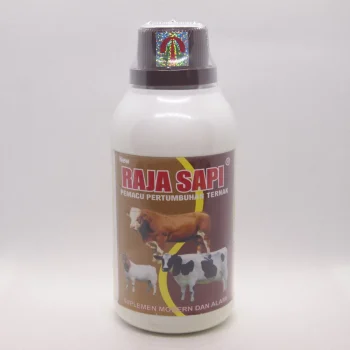 raja sapi