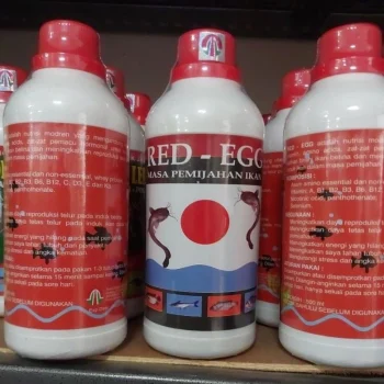RED EGG 500 ml MASA PEMIJAHAN IKAN MENINGKATKAN PRODUKSI TELUR TMSDO