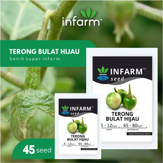 Bibit Terong | Benih Bibit Biji Super Terong Ungu / Terung - INFARM