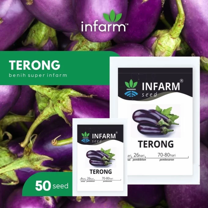 Benih Bibit Biji Super Terong Ungu / Terung - INFARM