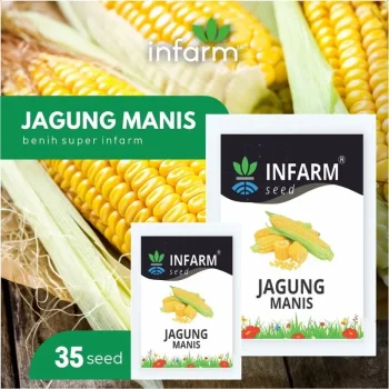 Bibit Jagung Manis | Benih Bibit Biji Super Jagung Manis - INFARM