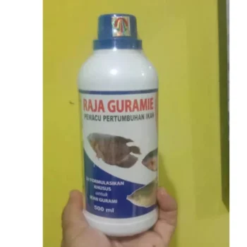 RAJA GURAME GURAMI GURAMIE 500 ml PEMACU PERTUMBUHAN IKAN NAFU MAKAN RAJA GURAMIE adalah mikroba probiotik yang diformulasikan khusus untuk ikam gurame dengan kandungan berupa Rhodobacter sp, Lactobacillus sp., Acrtobacter sp., dan saccharonyces sp. MANFAAT : - Meningkatkan na nafsu makan dan memacu pertumbuhan ikan - Mencegah stress dan menurunkan tingkat kematian - Menghilangkan bau busuk (basin/banger) pada air kolam - Menghemat pakan dan mempercepat panen CARA PEMAKAIAN : PAKAN JADI : • Tuangkan 3-5 tutup botol probiotik RAJA GURAMIE Ke dalam 1 liter air • Tambahkan 2 sendok gula pasir dan aduk hingga rata • Kocorkan/semprotkan campuran tersebut pada 10-15 kg pakan (pellet) • Biarkan sebentar sampai cair meresap dipakan. Setelah itu langsung disebar ketambak. PAKAN BUATAN SENDIRI : • Campurkan 3 - 5 tutup botol probitoik Raja Guramie ke dalam 10 liter air • Tambahkan 2 sendok gula pasir dan aduk hingga rata • Rendam pakan buatan kedalam cairan tersebut selama 12-24 jam. Kemudian dapat ditebar KOCOK DAHULU SEBELUM DIGUNAKAN