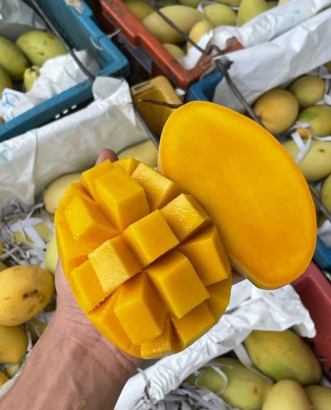 Buah Segar Mangga Thailand HR Susu 1 kg Manis Daging Tebal