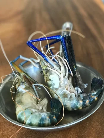 Udang Galah Segar 1 kg