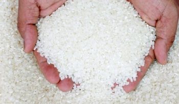 Beras Jambi Murah 5kg