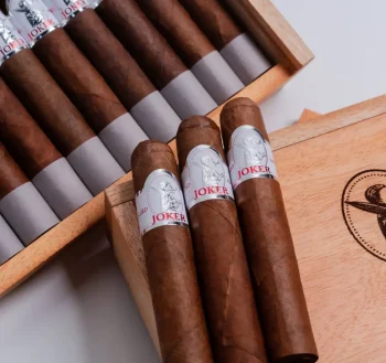 Cigar/Cerutu Joker Robusto Dwipa Nusantara Tobacco